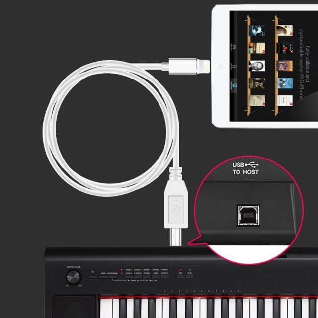 Кабель Lightning-USB Type-B (1m)
